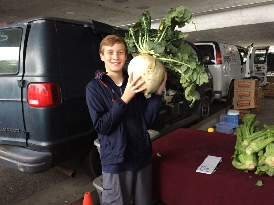 “Young squire, preparing bolognese is a far better fate than polishing armor…”